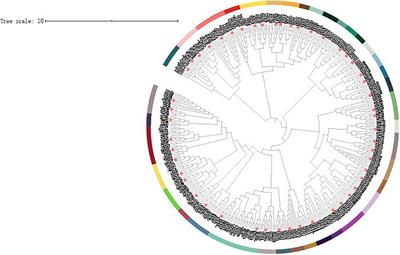 The hsp40 Gene Family in Japanese Flounder: Identification, Phylogenetic Relationships, Molecular Evolution Analysis, and Expression Patterns